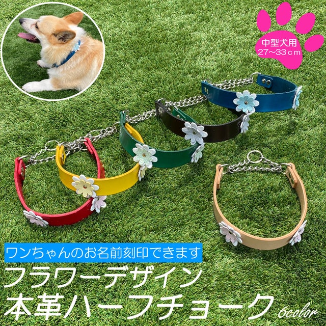 中型犬 ハーフチョーク 中型犬 ハーフチョーク
