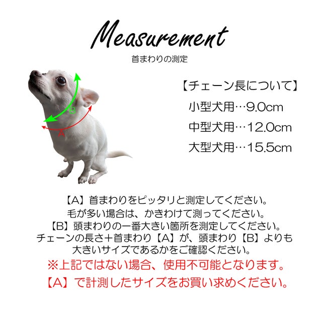 中型犬 ハーフチョーク