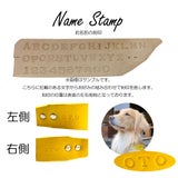大型犬 ハーフチョーク