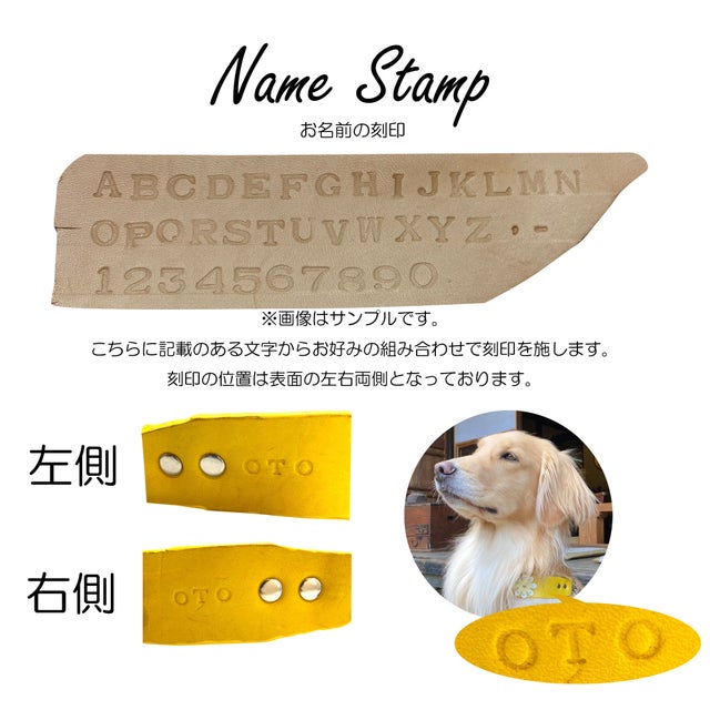 小型犬 首輪 ハーフチョーク